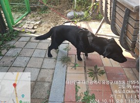 대전동물보호센터_430367202400727